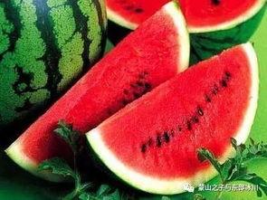 阿玉老师瓜,揭秘瓜农传奇人生