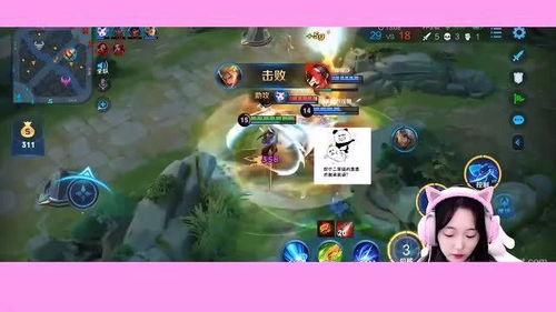 张星彩吃瓜妹,揭秘娱乐圈的甜蜜瓜田