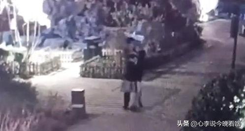 永城吃瓜事件视频曝光,视频曝光揭示惊人真相