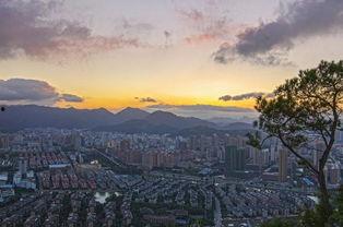 温岭明星多吗,星光璀璨，明星云集之地