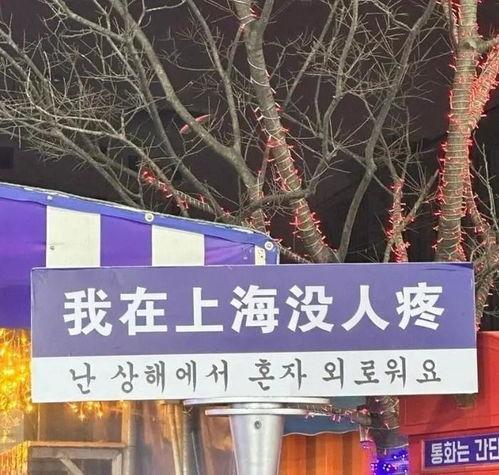 蛋仔岛网红路牌,揭秘岛上的潮流地标