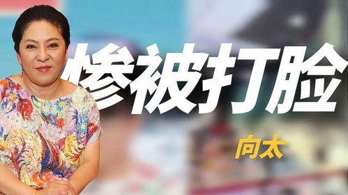 明星宣传造势视频下载,华丽造势背后的故事