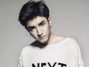 勋鹿总裁明星,明星光环下的商业传奇