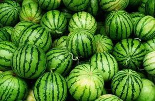 吃瓜的群叫什么,揭秘“吃瓜群”背后的网络文化现象