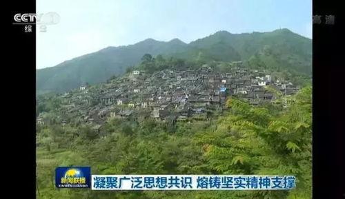 郯泗花鸟乡新闻头条,新闻头条聚焦乡村振兴新篇章