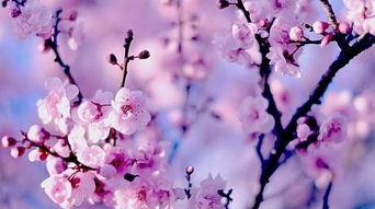 关注春暖花开的微头条,探寻美好时光的微头条故事