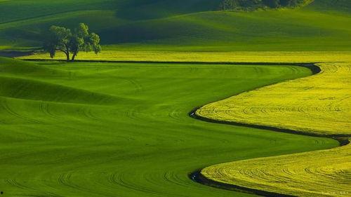 素材库微头条,揭秘热门话题背后的故事与数据