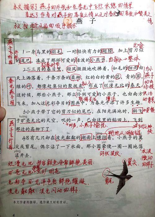 瓜老师的笔记小鹿,小鹿的成长之旅