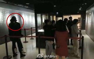 台北明星家住址,揭秘繁华都市中的明星豪宅群落