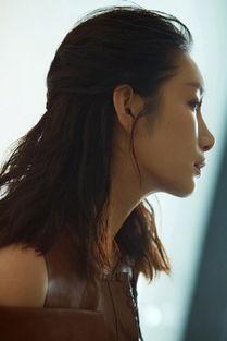 明星秦海璐图片,光影交织下的璀璨星辉