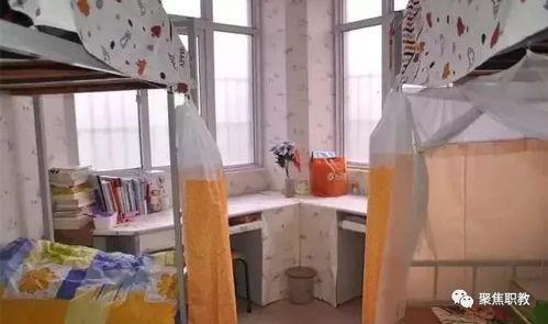 宿舍网红大专,青春记忆里的青春地标