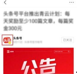 头条私信多久收到的,头条私信，从发送到接收的神秘时间之谜