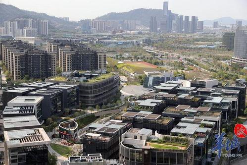 今日头条深圳前海湾,繁华都市中的璀璨明珠，见证时代变迁”