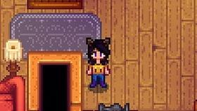 明星高级鸡,揭秘娱乐圈的奢华宠儿