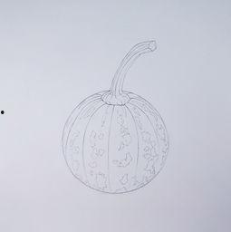 吃瓜视频画画教程图片,轻松绘制瓜果美食插画教程