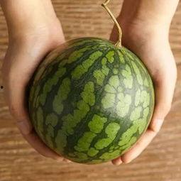 吃瓜公司怎么选,揭秘挑选优质瓜子的秘诀