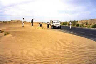 伊犁最新吃瓜事件,揭秘背后真相与网络热议